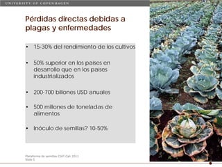 Taller semillas 2011 Carmen Nieves Mortensen