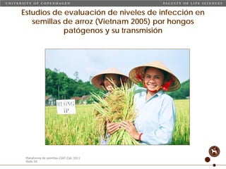 Taller semillas 2011 Carmen Nieves Mortensen