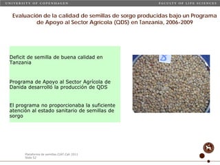 Taller semillas 2011 Carmen Nieves Mortensen