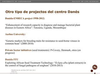 Taller semillas 2011 Carmen Nieves Mortensen