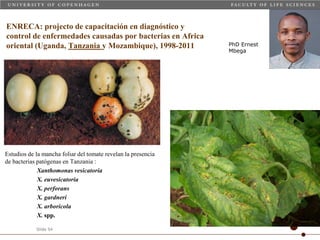 Taller semillas 2011 Carmen Nieves Mortensen