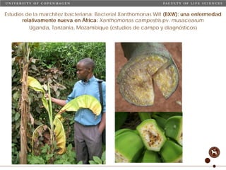 Taller semillas 2011 Carmen Nieves Mortensen