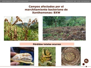 Taller semillas 2011 Carmen Nieves Mortensen