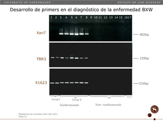 Taller semillas 2011 Carmen Nieves Mortensen