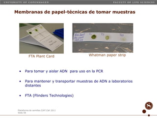 Taller semillas 2011 Carmen Nieves Mortensen