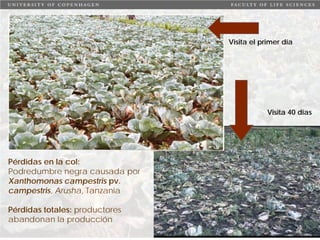 Taller semillas 2011 Carmen Nieves Mortensen