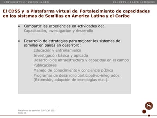 Taller semillas 2011 Carmen Nieves Mortensen