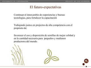 Taller semillas 2011 Carmen Nieves Mortensen