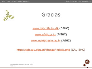 Taller semillas 2011 Carmen Nieves Mortensen