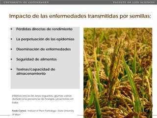 Taller semillas 2011 Carmen Nieves Mortensen