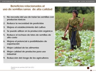 Taller semillas 2011 Carmen Nieves Mortensen