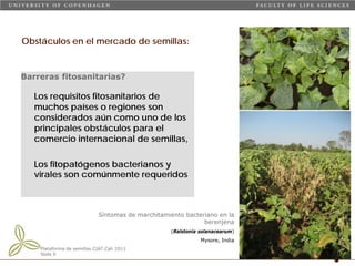 Taller semillas 2011 Carmen Nieves Mortensen