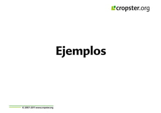 Taller semillas 2011 Cropster