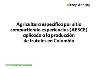 Taller semillas 2011 Cropster