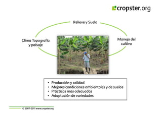 Taller semillas 2011 Cropster