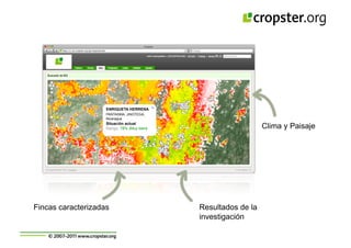 Taller semillas 2011 Cropster