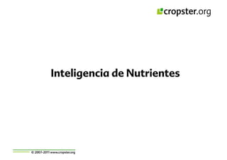 Taller semillas 2011 Cropster