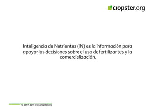 Taller semillas 2011 Cropster
