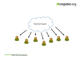 Taller semillas 2011 Cropster