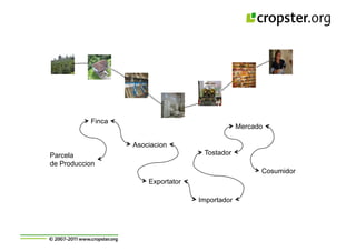 Taller semillas 2011 Cropster