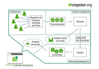 Taller semillas 2011 Cropster