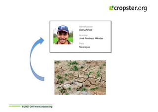 Taller semillas 2011 Cropster