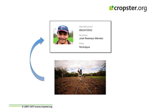 Taller semillas 2011 Cropster