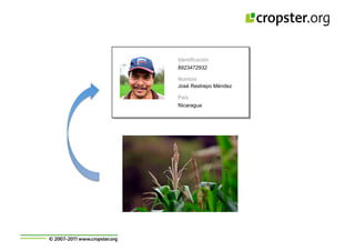 Taller semillas 2011 Cropster