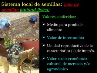 Taller semillas 2011 Jose Luis Chavez