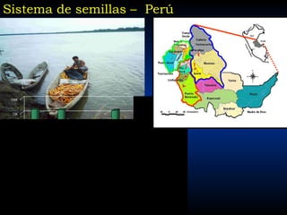 Taller semillas 2011 Jose Luis Chavez