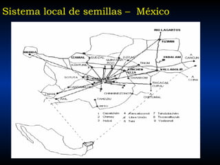 Taller semillas 2011 Jose Luis Chavez