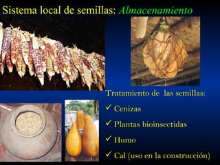 Taller semillas 2011 Jose Luis Chavez