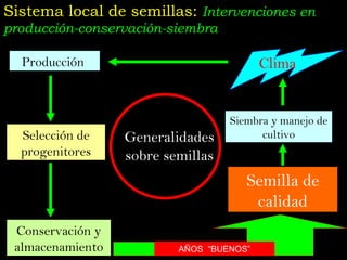 Taller semillas 2011 Jose Luis Chavez