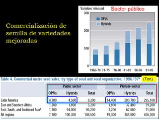 Taller semillas 2011 Jose Luis Chavez