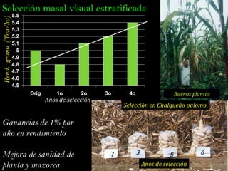 Taller semillas 2011 Jose Luis Chavez