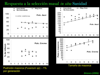 Taller semillas 2011 Jose Luis Chavez