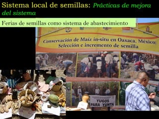 Taller semillas 2011 Jose Luis Chavez