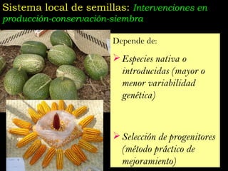 Taller semillas 2011 Jose Luis Chavez