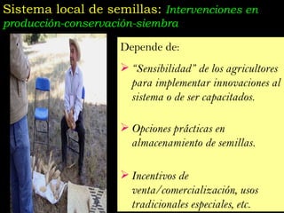 Taller semillas 2011 Jose Luis Chavez