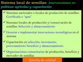 Taller semillas 2011 Jose Luis Chavez