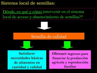 Taller semillas 2011 Jose Luis Chavez