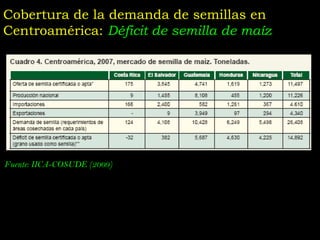 Taller semillas 2011 Jose Luis Chavez