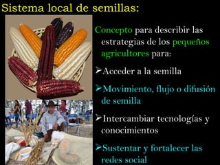 Taller semillas 2011 Jose Luis Chavez