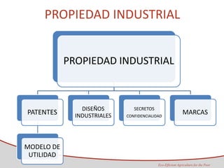 Taller semillas 2011 Maria Virginia Jaramillo