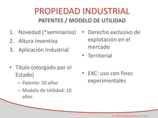 Taller semillas 2011 Maria Virginia Jaramillo