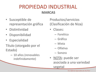 Taller semillas 2011 Maria Virginia Jaramillo