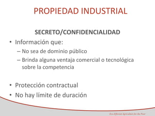 Taller semillas 2011 Maria Virginia Jaramillo