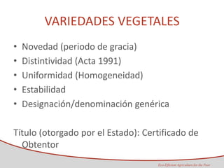 Taller semillas 2011 Maria Virginia Jaramillo