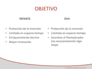 Taller semillas 2011 Maria Virginia Jaramillo