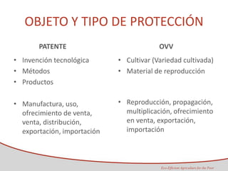 Taller semillas 2011 Maria Virginia Jaramillo